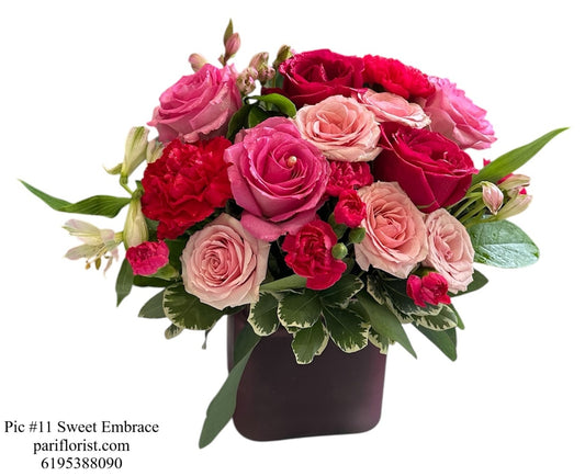 Fig #11 Sweet Embrace