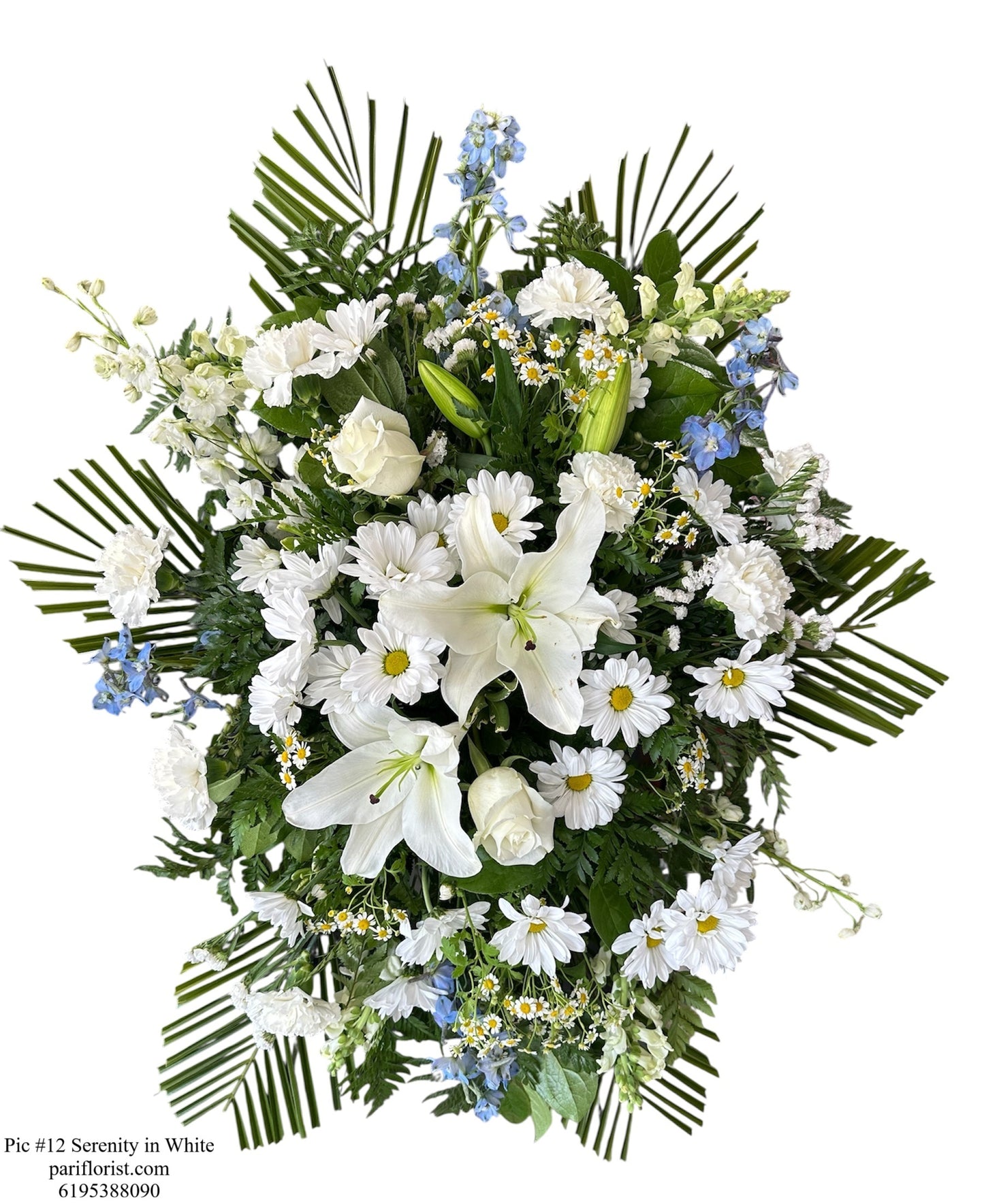 Pic #12 Serenity in White