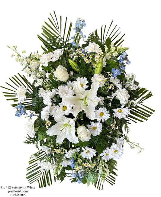 Pic #12  Serenity in White