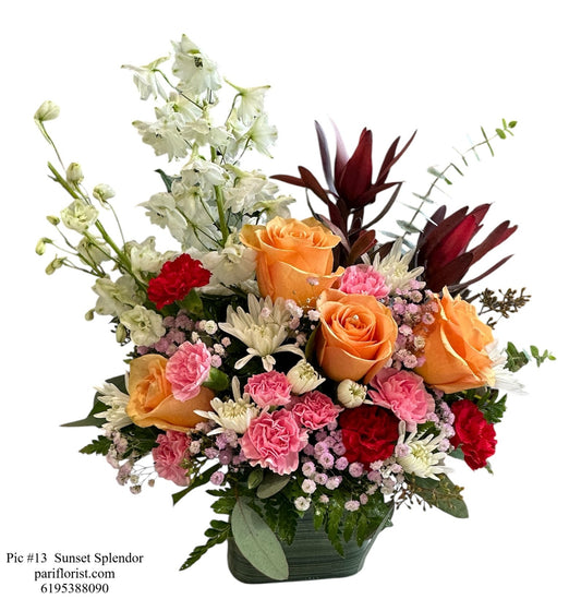 Pic #13 Sunset Splendor