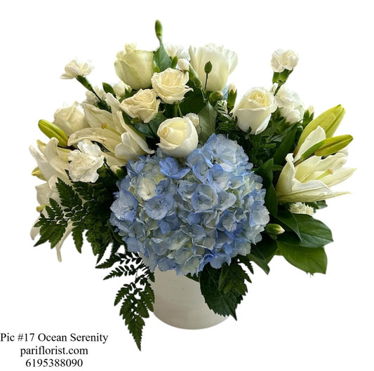 Pic #17 Ocean Serenity