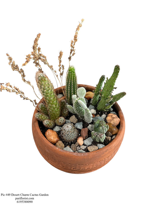 Pic #49 Desert Charm Cactus Garden