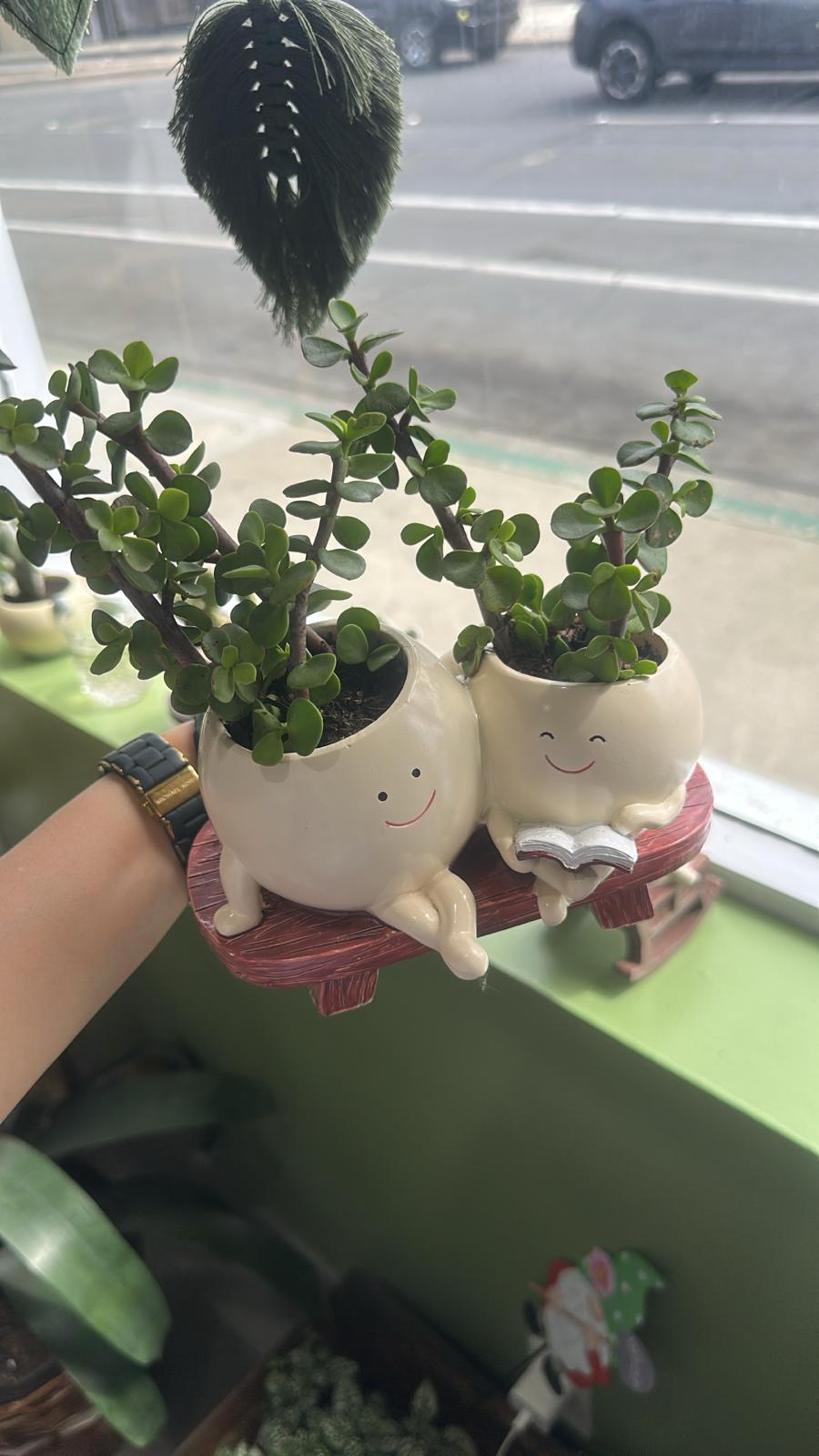 Smiling Duo Planter Set with Jade Plants – Cute & Air-Purifying