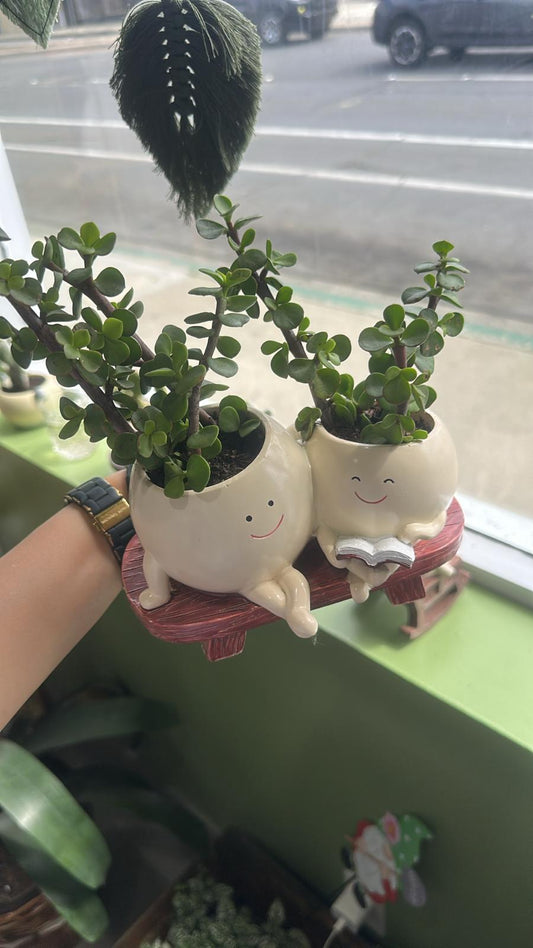 Smiling Duo Planter Set with Jade Plants – Cute & Air-Purifying