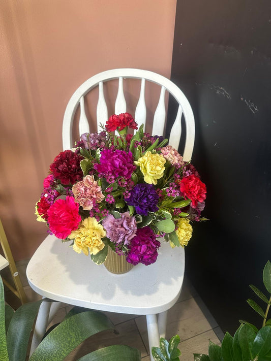 🌈 Carnation Carnival