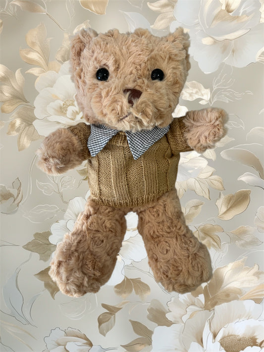 Teddy bear dressed