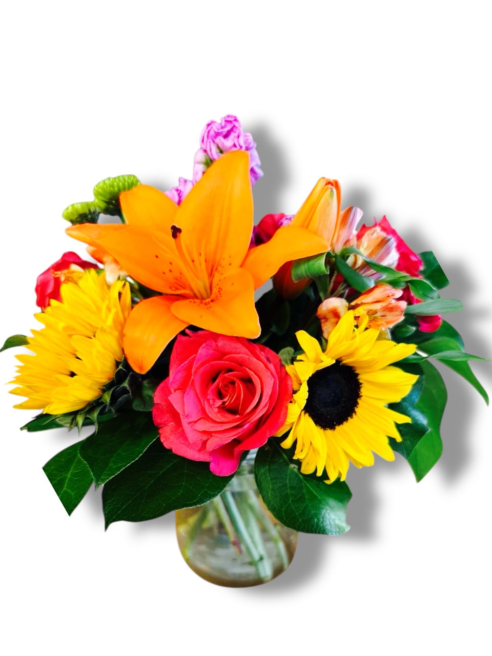Vibrant Radiance