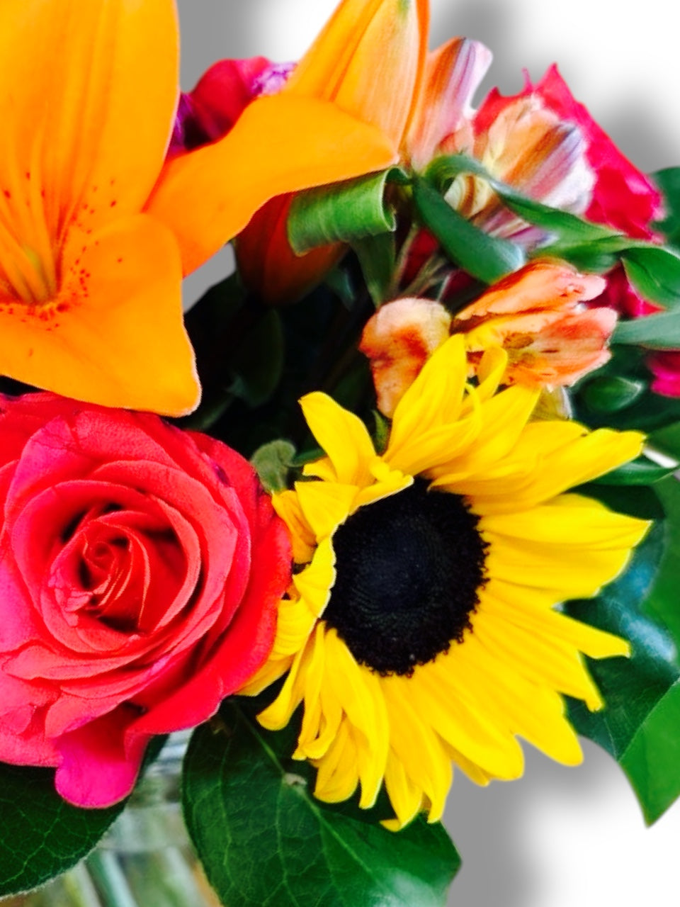 Vibrant Radiance
