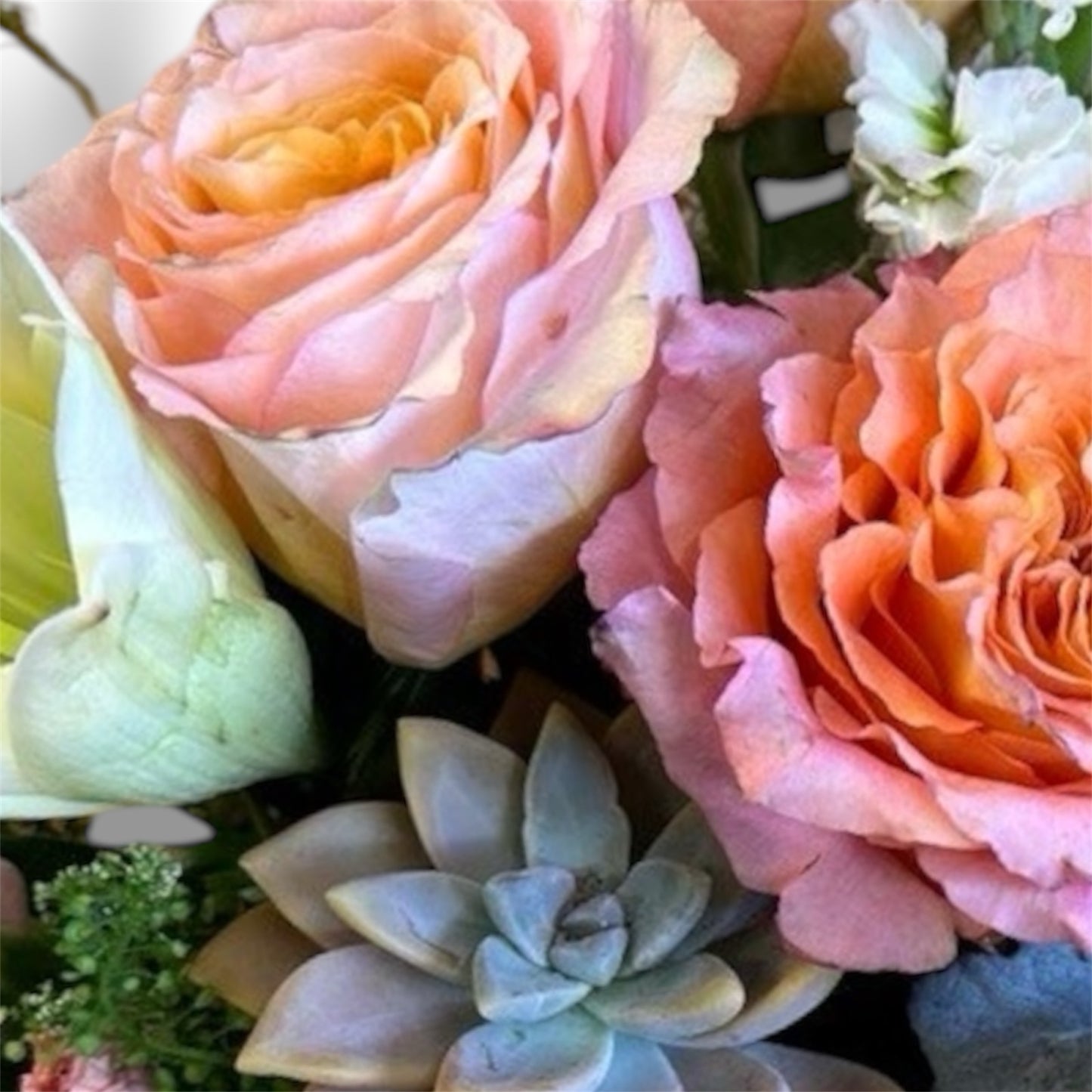 Warm Embrace of Gratitude