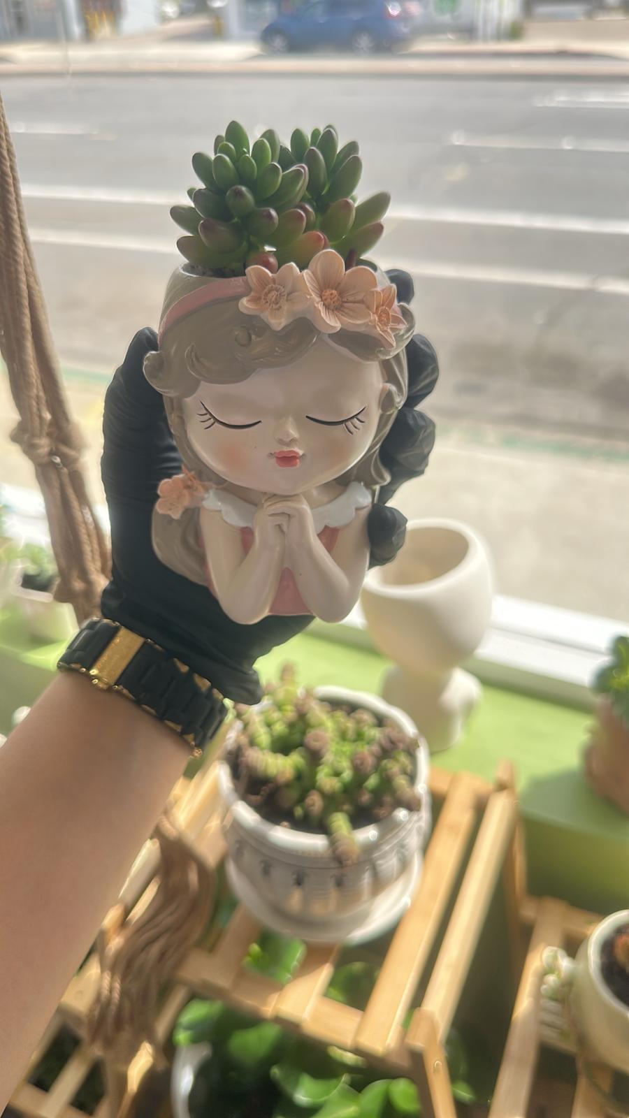 Dreamy Girl Succulent Planter – Cute Ceramic Flower Pot with Live Succulent