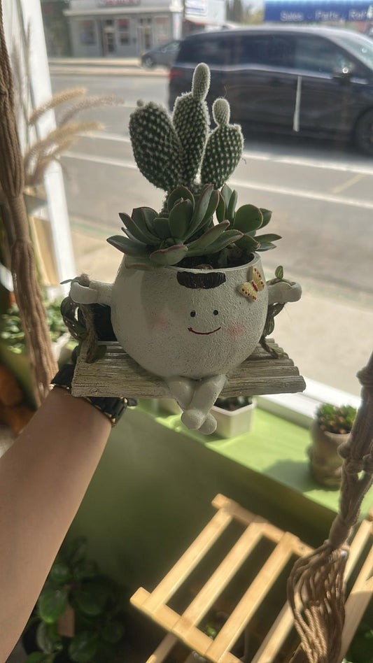 Adorable Swing Planter with Cactus & Succulents – Playful Home Decor