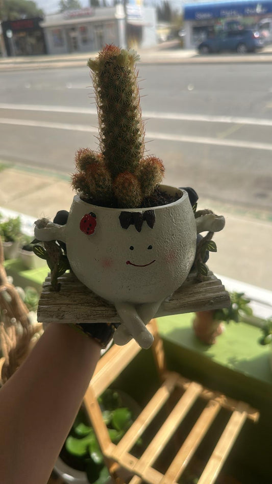 Adorable Succulent & Cactus Planters