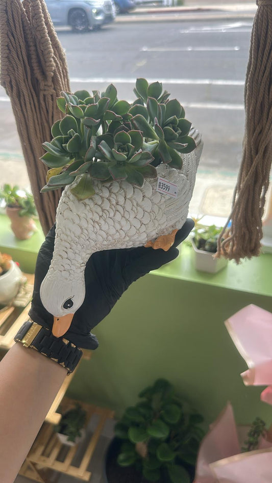 White Goose Succulent Planter – Charming Animal Pot with Lush Greenery