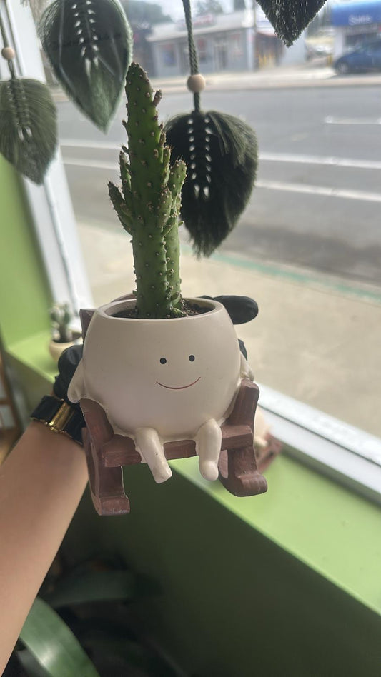 Cactus in Happy Seat Planter – Cute & Low-Maintenance
