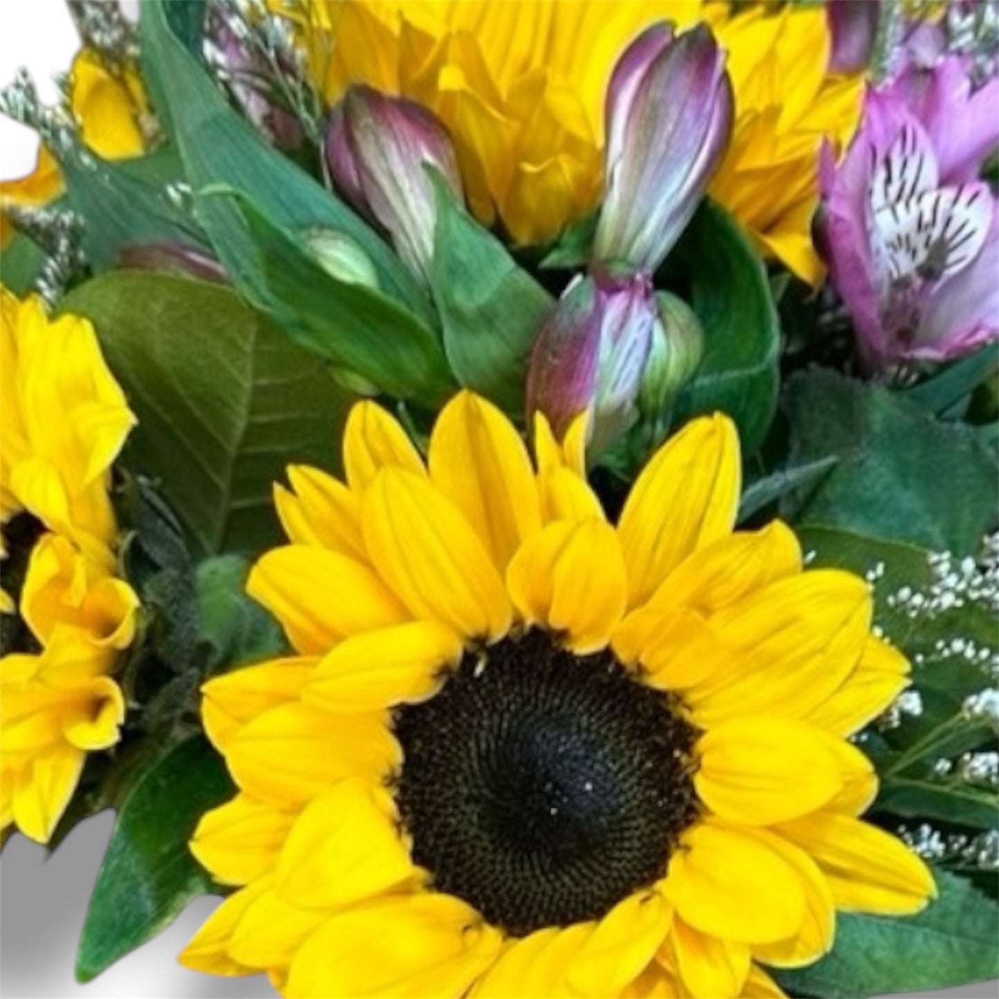 Sunshine Delight